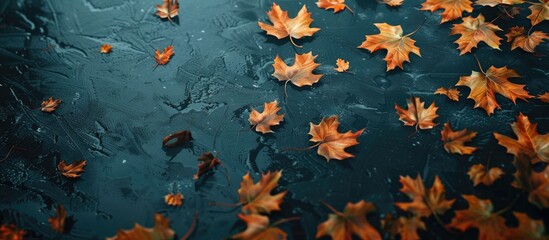 Wall Mural - Maple leaves that have fallen in autumn. with copy space image. Place for adding text or design