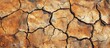 © vxnaghiyev - Cracked dry earth on the surface of arid soil viewed from above The background shows environmental indications of climate change and global warming. with copy space image