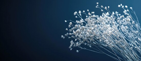 Fototapete - Dark blue backdrop featuring a silver Bulrush bouquet Template includes copyspace for your creative ideas