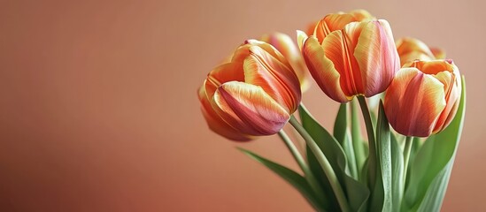 Leinwandbilder - Beautiful orange tulips with red streaks in a vase Floral background Flower wallpaper Copyspace