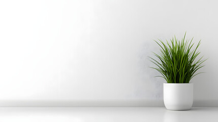 Wall Mural - Plant pot with copy space 