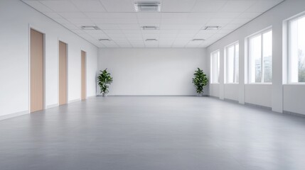 Poster - Spacious empty office with natural light and indoor plants
