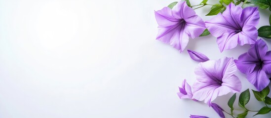 Aufkleber - Purple Bignonia flowers blooming on a joyful day with a white background for copyspace featuring a vintage style