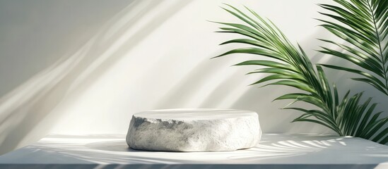 Poster - Minimal abstract empty round slate rock podium on a white table surface background featuring shadows of tropical leaves Luxury backdrop showcase for cosmetics or skincare display