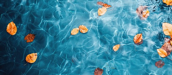 Poster - Top view of a blue swimming pool surface with reflections on the blue water swirl pattern texture and blue tiles Leaves in the murky water swimming pool is open Background backdrop with copyspace