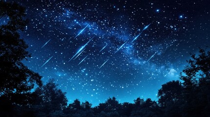 Wall Mural - night sky with silhouetted trees and shooting stars