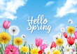© VeronA - A 'Hello Spring' banner surrounded by a round frame and an assortment of flowers, all on a blue background