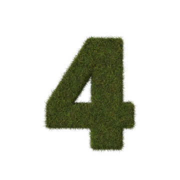Grass number four