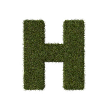 Grass letter H