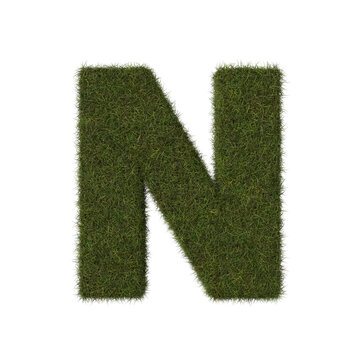 Grass letter N