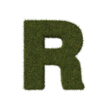 Grass letter R