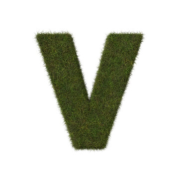 Grass letter V