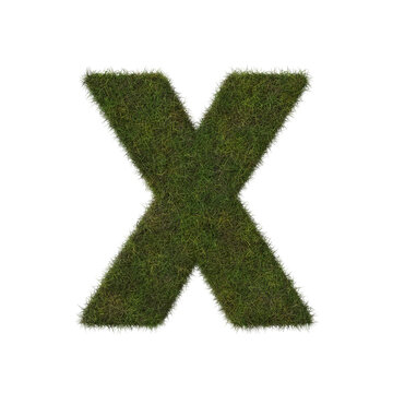 Grass letter X
