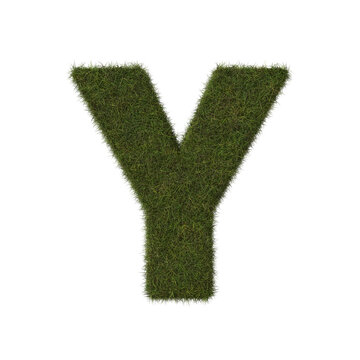 Grass letter Y