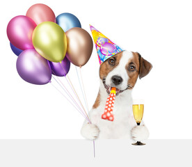 Aufkleber - Cute jack russell terrier puppy wearing party cap holding balloons   and glass of champagne and blowing  in party horn above blank white banner and looking at camera. isolated on white background