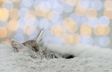 Poster - Tiny maine coon kitten sleeps on a bed at home on festive pink blurred background. Empty space for text