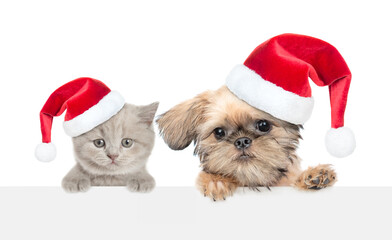 Aufkleber - Cute kitten and cute Brussels Griffon puppy wearing santa hats looking above blank white banner. Isolated on white background