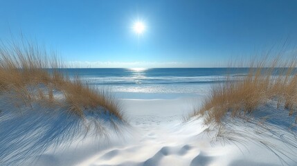 Wall Mural - Sunny winter beach scene with snow-covered dunes and ocean view.