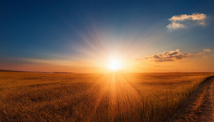 Wall Mural - gradient solar rays on a clean sky sun history radiant warm temperature