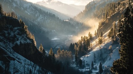 Sticker - Golden Rays Illuminating a Snowy Mountain Valley