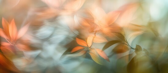 Poster - Abstract soft focus background showcasing blurred greenery and warm tones ideal for artistic and creative design projects