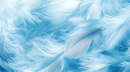 Poster - Delicate Soft Baby Blue Feathers Background Texture for Elegant Designs and Artistic Projects