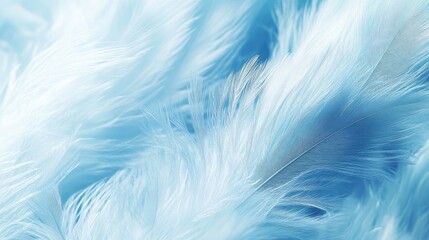 Poster - Soft and Delicate Blue Feathers Creating a Serene Background Texture for Creative Projects