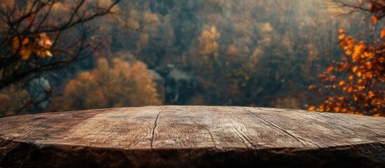 Poster - Autumn Forest Scene with Wooden Tabletop and Sunlight Creating an Inviting Space for Text or Displayed Content
