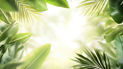 Wall Mural - lush tropical forest background with sunlight filtering through vibrant green leaves creating a sere