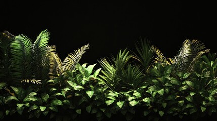 Poster - Lush tropical foliage with palm fronds and vibrant leaves creating a striking silhouette against a dark background
