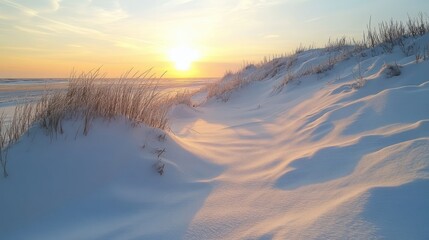 Poster - Snow-covered sand dunes at sunset showcasing extreme weather contrasts and nature's beauty in a serene landscape scene