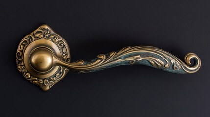 Poster - Ornate vintage door handle with intricate design showcasing craftsmanship and patina on dark background