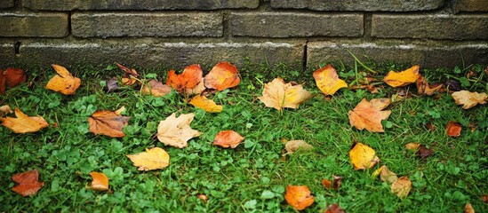 Poster - Weathered brick wall adorned with vibrant green grass and colorful autumn leaves creating a serene nature backdrop for various designs