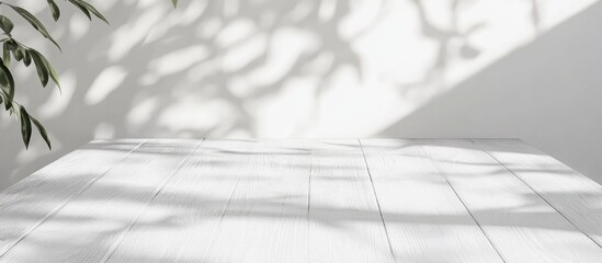 Poster - minimalist white wooden tabletop with soft sunlight creating tree shadow patterns ideal for product 
