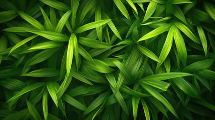 Aufkleber - Lush tropical green leaves forming an abstract texture background for nature and design themes