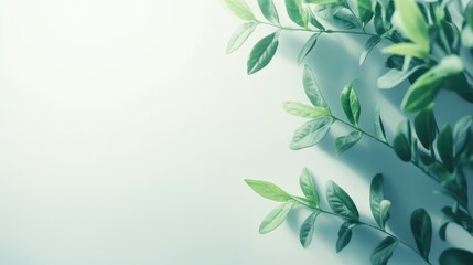 Poster - fresh green leaves creating a serene atmosphere with empty space for text ideal for nature themes an