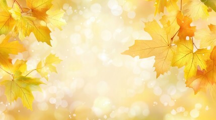 Poster - yellow maple leaves in autumn with a beautiful blurred bokeh background creating a warm and vibrant 
