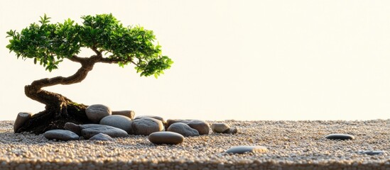 Poster - serene zen garden featuring a bonsai tree surrounded by smooth pebbles and stones with space for tex