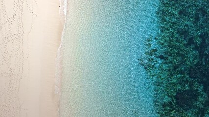 Wall Mural - Blue salty water in tropical sea and sandy beach, Drone view, top down