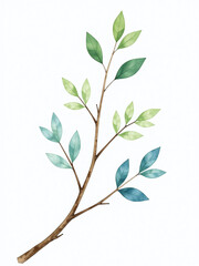Poster - Delicate Green And Blue Leaves Sprout From A Bare Branch Against A Clean White Background In This Serene Watercolor Painting. 00003