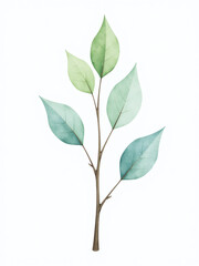 Poster - Delicate Green And Blue Leaves Sprout From A Bare Branch Against A Clean White Background In This Serene Watercolor Painting. 00001