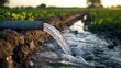 © ShStock - Pump pipe water flow equipment is essential for agriculture, as it facilitates water flow from a well to a pond, ensuring efficient irrigation. This pump pipe water flow equipment enhances farm