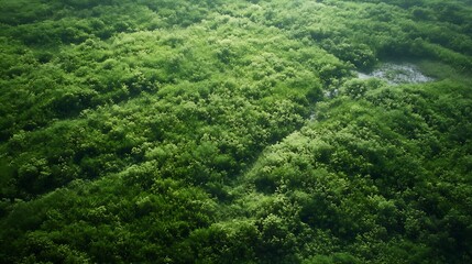 Poster - Vast Lush Green Aerial View of Dense Forest Canopy Perfect for Nature and Conservation Themes : Generative AI