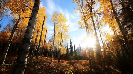 Poster - Stunning Autumn Forest Landscape with Golden Leaves and Clear Sky : Generative AI