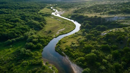 Poster - Scenic Aerial View of a Serpentine River Flowing Through Verdant Landscape : Generative AI