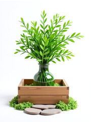 Poster - A Simple Wooden Box Holds A Vase Of Decorative Green Sisal Surrounded By A Meandering Stone Path Isolated On White. 00003