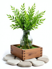 Poster - A Simple Wooden Box Holds A Vase Of Decorative Green Sisal Surrounded By A Meandering Stone Path Isolated On White. 00002