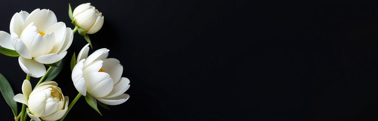 Aufkleber - A Simple Arrangement Of White Peonies Against A Dark Black Background Creates A Clean And Elegant Copy Space Area. 00002