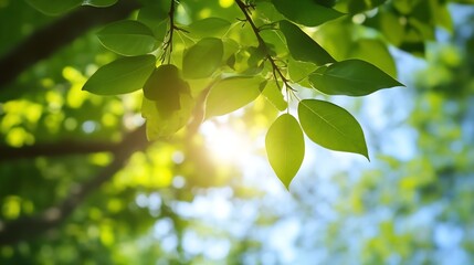 Aufkleber - Sunlit Green Leaves Closeup with Natural Background and Vibrant Atmospheric Bokeh : Generative AI