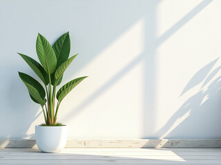Aufkleber - A Green Plant Stands Against A Sunny Old White Wall, Amidst An Abstract Nature Background Created By An Ai Generator. 00002